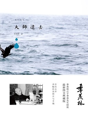 cover image of 大师远去